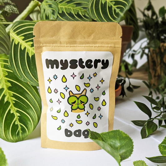 Mystery Bag - 3-4 Second & B-Grade pins