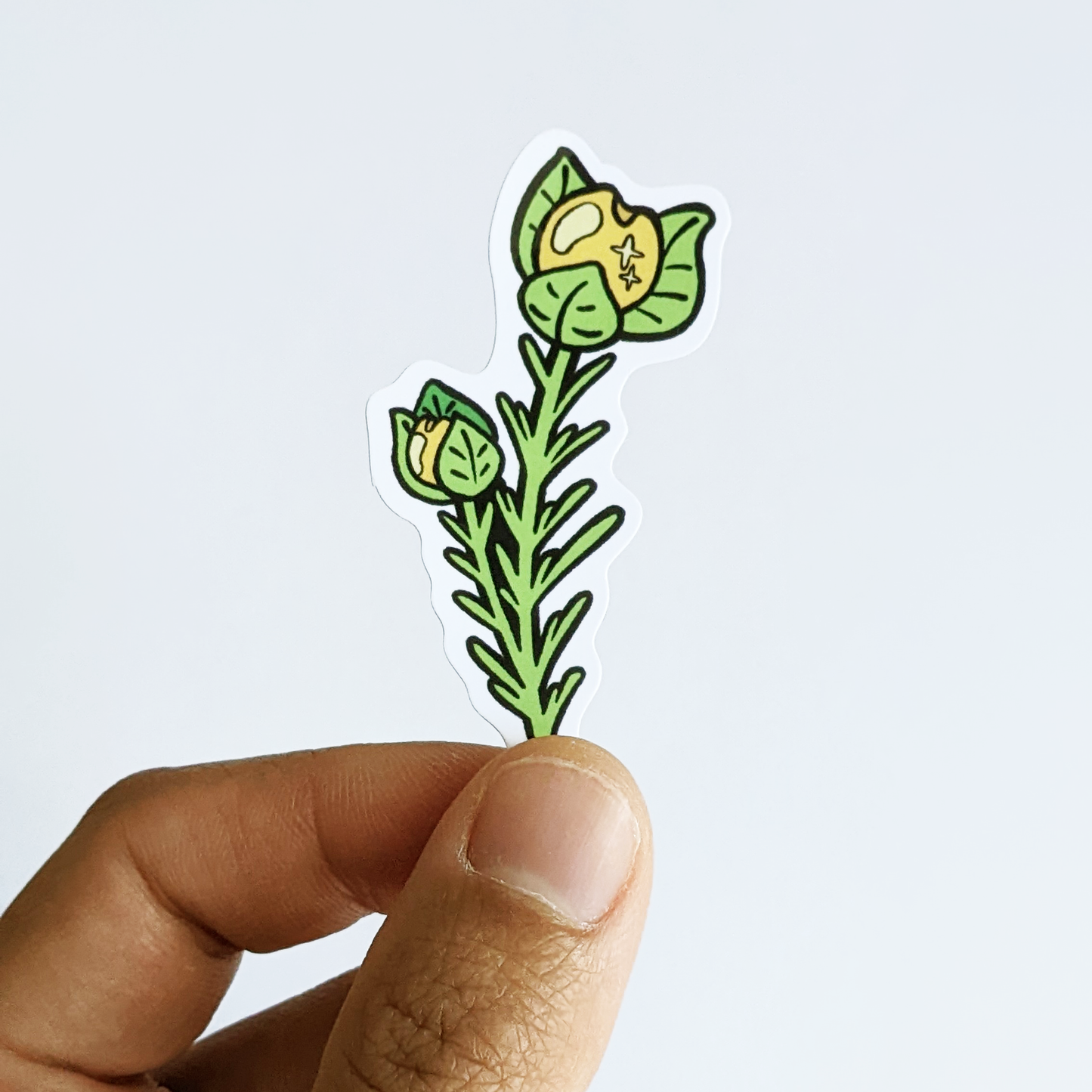 Stickers - Flowers of the Wild (6pcs)