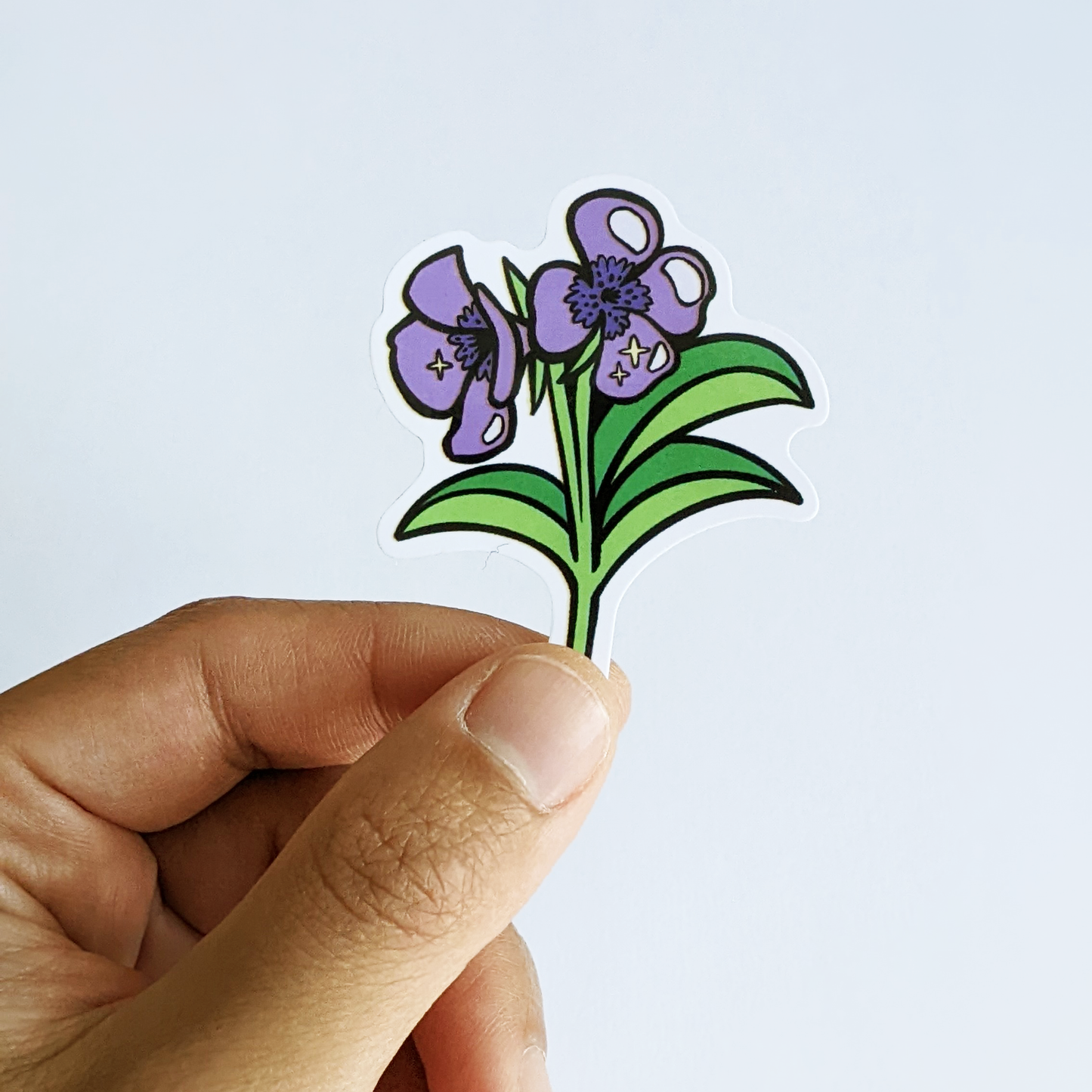 Stickers - Flowers of the Wild (6pcs)